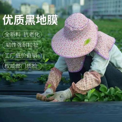 黑地膜 果园与蔬菜大棚的除草保温双效利器