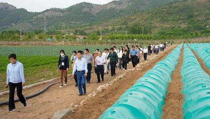 2024年全省农田地膜残留监测技术培训班暨设施农业及农用薄膜新技术学术研讨会在济南举办 农用地膜助推绿色农业创新