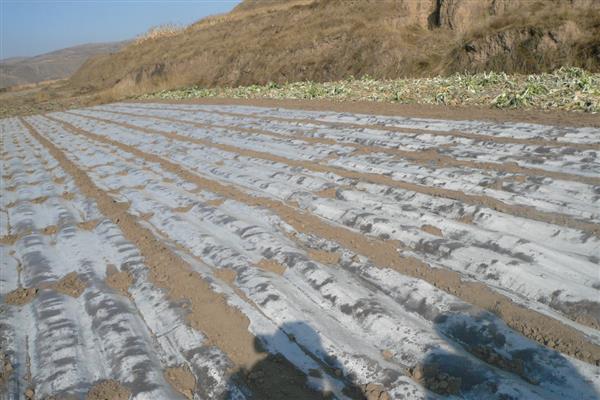 农用地膜的生态与经济效益